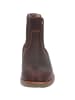 PANAMA JACK Chelsea Boots in Castano/Chestnut