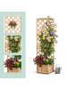 relaxdays Pflanzkasten-Rankgitter in Natur - (B)55 x (H)180 x (T)51 cm