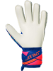 Reusch Torwarthandschuhe Attrakt Advance Junior in 4126 sharp blu/wht/shock orng