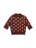 Little Green Radicals Organic Knitted Jumper in Brown