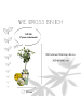 NatureNest Bio-Birnbaum  1 x Pyrus communis 