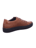 Solidus Sneaker in braun