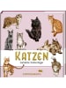 Coppenrath Buch - Katzen