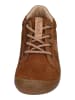 KOEL Sneaker Low BLAKE SUEDE in braun