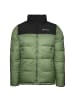 Champion Winterjacke Jacket in gruen