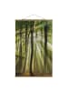 WALLART Stoffbild mit Posterleisten - Sonnentag im Wald in Grün