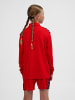 Hummel Halbreißverschluss Sweatshirt Hmlauthentic Kinder in TRUE RED