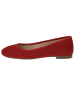 Caprice Ballerina in RED SUEDE