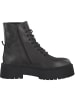 Steve Madden Stiefeletten in dark grey