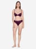 JOOP! Slip Intimate Apparel in black/taupe/purple