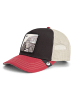 Goorin Bros. Cap in Tricolor Tortiouse