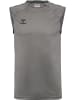 Hummel Sportshirt "Pro Training Jersey S/L" in Grau