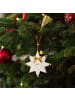 Villeroy & Boch Ornament Stern 2026 Christmas Classics in 0,9 x 11,3 x 11,3 cm in weiß-gold