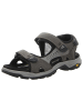 Camel Active Sandalen in grau