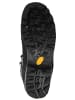 MEINDL Wanderschuhe Litepeak Lady GTX in blau