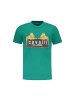 cavalli CLASS Grün Baumwolle Herren T-Shirt