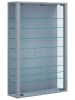 VCM  Wandvitrine Hängevitrine Glasvitrine Vitrosa Mini in Silber