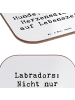 Mr. & Mrs. Panda Quadratischer Untersetzer Spruch Labrador Herze... in Weiß