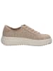 Caprice Sneaker in BEIGE COMB