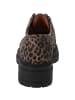 Palado Loafers Valgella in Leo