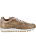 Cetti Sneakers Low in cuero