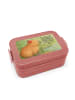 Mr. & Mrs. Panda Brotdose Capybara Blume Design mit Spruch in Rot Pastell