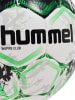 Hummel Fußball Hmlinspire (Zubehör) in NEON GREEN/WHITE/GREEN