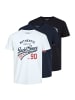 Jack and Jones 3er Pack JJ Ethan Tee SS Crew Neck in Mehrfarbig