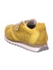Cetti Sportliche Schnürschuhe in Gelb
