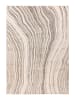 Teppich Boss Kurzflor Teppich Carolin 225 Silber / Beige - Silber / Beige