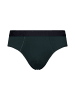 Hanro 2er-Pack Slips Cotton Essentials in laurel/black