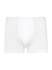 Hanro Retro Short / Pant Cotton Superior in Weiß