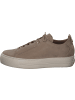 Paul Green Sneakers Low in alpaca