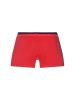 Doreanse Pants in rot