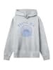 F4NT4STIC Hoodie Baltic Sea Knut und Jan in grau meliert