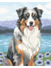 Ravensburger Ravensburger Kreativität Australian Shepherd Merlin in bunt