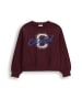 Coccodrillo Sweatshirt in dunkelrot