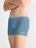 Sloggi Retro Pants GO ABC 2.0 Short in PROVINCIAL BLUE