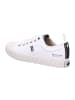 Palladium Sneaker Low in weiß