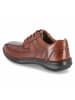 Josef Seibel Halbschuhe NEW ANVERS 08 in braun