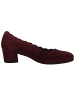 Gabor Pump in bordeaux