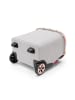 Reisenthel Einkaufstasche Carrycruiser in Frame Twist Sky Rose