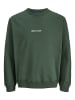 Jack & Jones Sweatshirt JORNORREBRO EMB SWEAT CREW in Grün