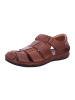 Pikolinos Slipper in braun