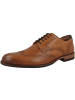 Clarks Businessschuhe Craft Arlo Limit in braun