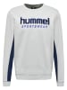 Hummel Sweatshirt Hmllgc Wesley Erwachsene in HARBOR MIST