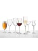 LEONARDO 12er Set Cocktailglas Daily 270 ml transparent in transparent