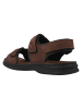 Josef Seibel Sandalen in Braun
