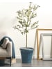 Beliani Outdoor Blumentopf MAIZE in Blau - (W) 43 x (H) 39 x (L) 43 cm