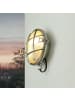 Licht-Erlebnisse Außen Wandlampe Ø 18 x (H)18 cm in Nickel matt
